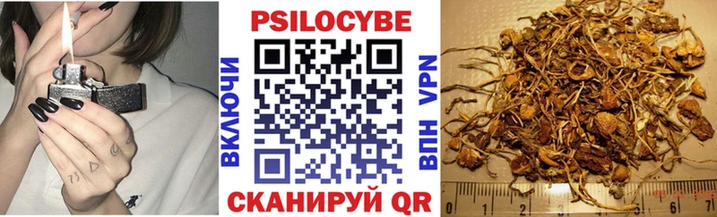 цена наркотик  Рубцовск  гидра ссылка  Галлюциногенные грибы мухоморы 